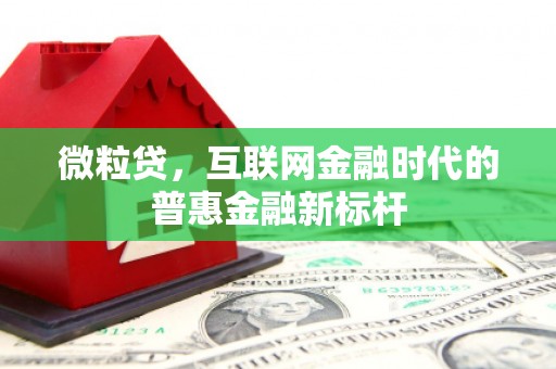 确山微粒贷，互联网金融时代的普惠金融新标杆