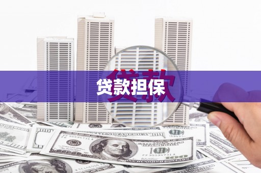 确山贷款担保