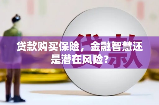 确山贷款购买保险，金融智慧还是潜在风险？