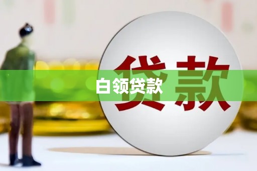 确山白领贷款
