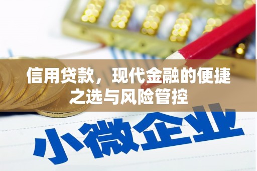 确山信用贷款，现代金融的便捷之选与风险管控