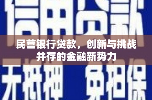确山民营银行贷款，创新与挑战并存的金融新势力