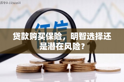 确山贷款购买保险，明智选择还是潜在风险？