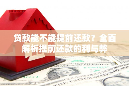 确山贷款能不能提前还款？全面解析提前还款的利与弊