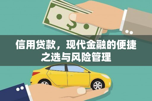 确山信用贷款，现代金融的便捷之选与风险管理