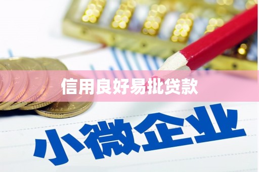 确山信用良好易批贷款