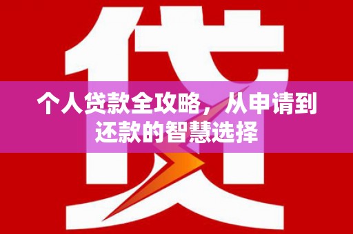 确山个人贷款全攻略，从申请到还款的智慧选择