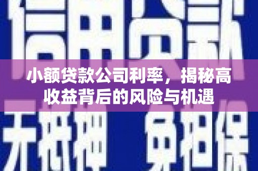 确山小额贷款公司利率，揭秘高收益背后的风险与机遇