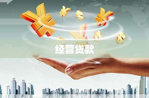确山经营贷款