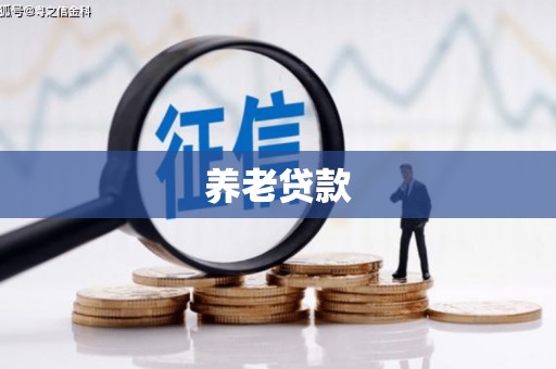 确山养老贷款