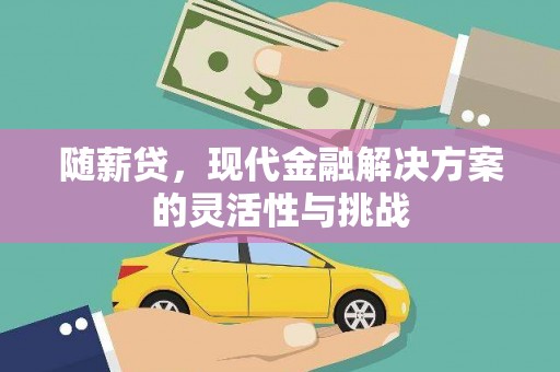 确山随薪贷，现代金融解决方案的灵活性与挑战