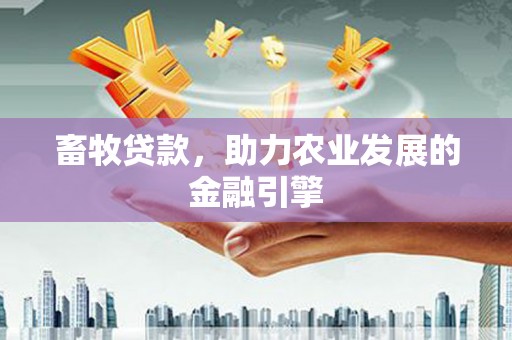 确山畜牧贷款，助力农业发展的金融引擎