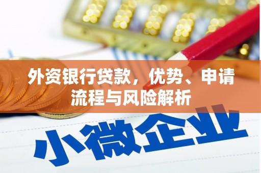 确山外资银行贷款，优势、申请流程与风险解析