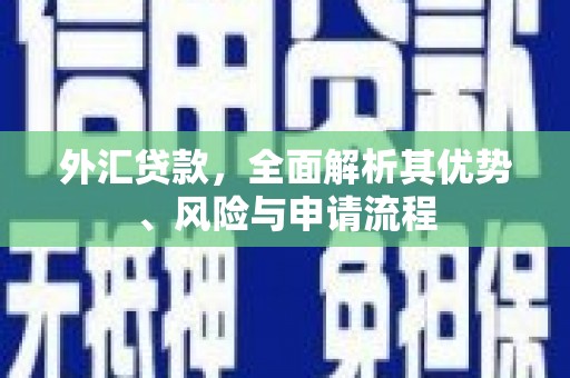 确山外汇贷款，全面解析其优势、风险与申请流程