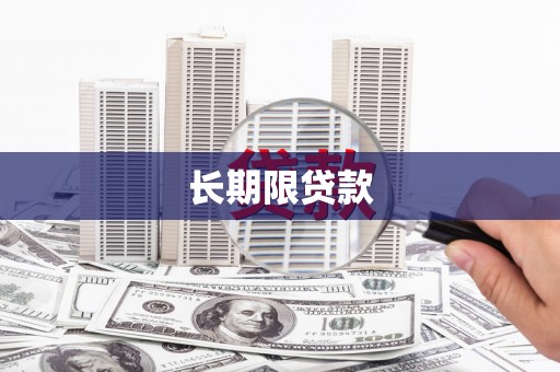 确山长期限贷款