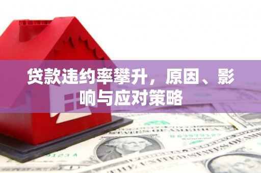 确山贷款违约率攀升，原因、影响与应对策略