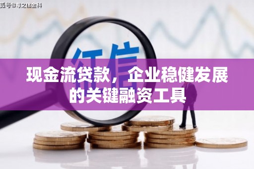 确山现金流贷款，企业稳健发展的关键融资工具