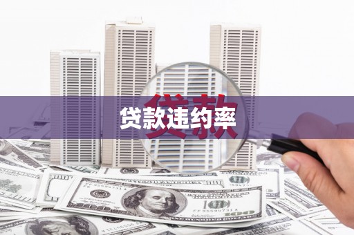 确山贷款违约率