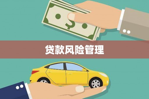 确山贷款风险管理