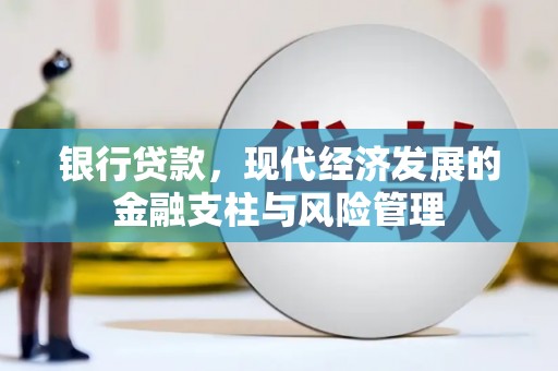确山银行贷款，现代经济发展的金融支柱与风险管理