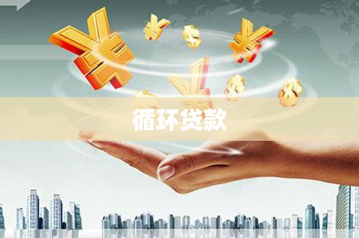 确山循环贷款