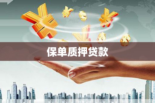 确山保单质押贷款