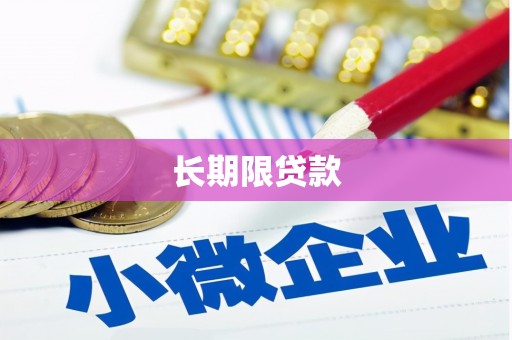 确山长期限贷款