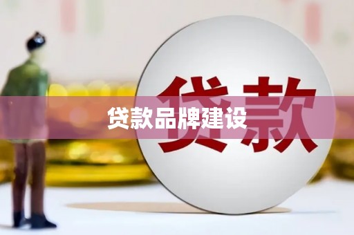 确山贷款品牌建设