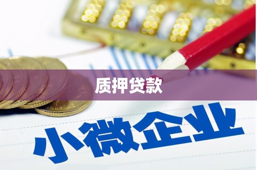 确山质押贷款