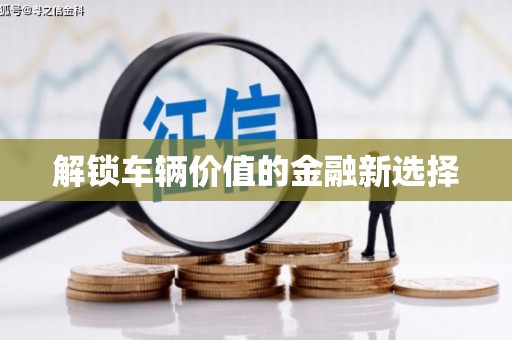 确山解锁车辆价值的金融新选择