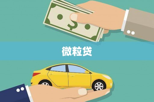 确山微粒贷