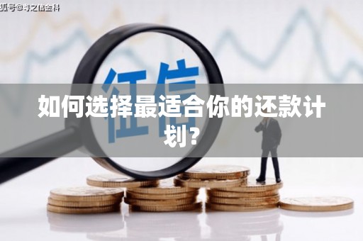 确山如何选择最适合你的还款计划？