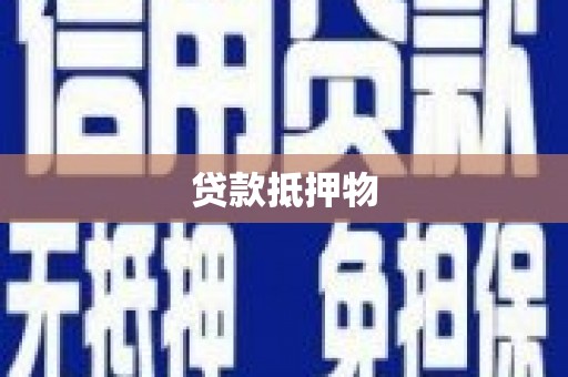 确山贷款抵押物