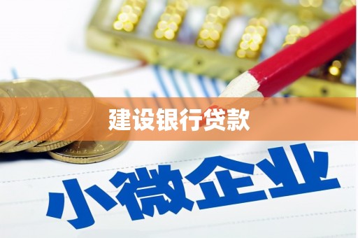 确山建设银行贷款