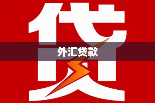 确山外汇贷款