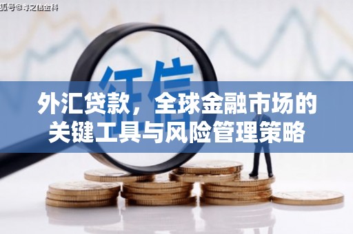 确山外汇贷款，全球金融市场的关键工具与风险管理策略