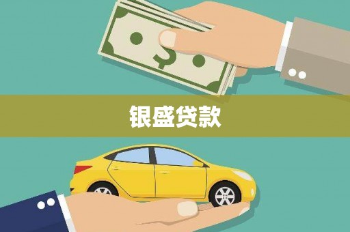 确山银盛贷款