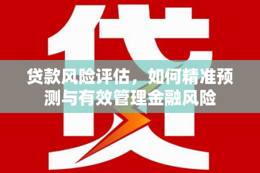 确山贷款风险评估，如何精准预测与有效管理金融风险