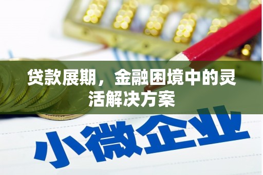 确山贷款展期，金融困境中的灵活解决方案