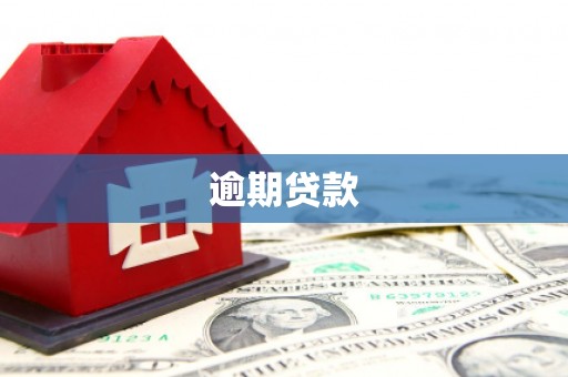 确山逾期贷款