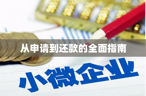 确山从申请到还款的全面指南