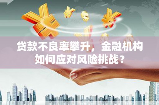 确山贷款不良率攀升，金融机构如何应对风险挑战？