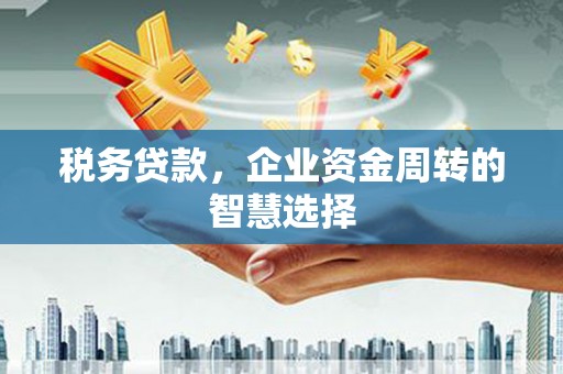 确山税务贷款，企业资金周转的智慧选择