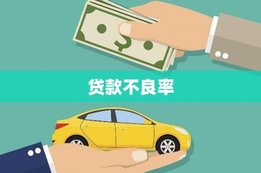 确山贷款不良率