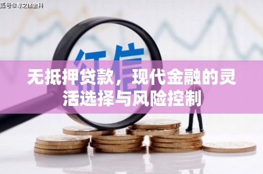 确山无抵押贷款，现代金融的灵活选择与风险控制