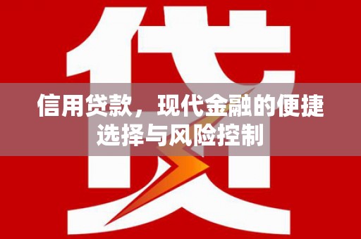 确山信用贷款，现代金融的便捷选择与风险控制