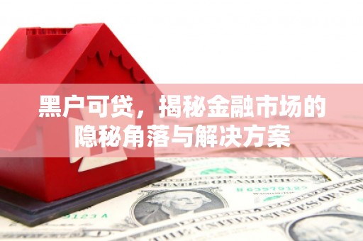 确山黑户可贷，揭秘金融市场的隐秘角落与解决方案