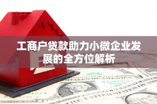 确山工商户贷款助力小微企业发展的全方位解析