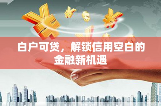 确山白户可贷，解锁信用空白的金融新机遇