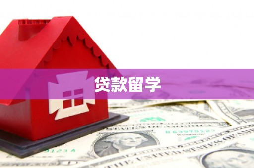 确山贷款留学